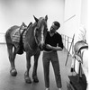 New York City Ballet - rehearsal of "Don Quixote" with Richard Rapp and horse, choreography by George Balanchine (New York)