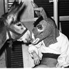 New York City Ballet - rehearsal of "Don Quixote" with real burro and dancer in role of Bottom, choreography by George Balanchine (New York)