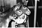 New York City Ballet - rehearsal of "Don Quixote" with real burro and dancer in role of Bottom, choreography by George Balanchine (New York)