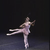 New York City Ballet production of "Rondo" with Stephanie Saland (front) and Kyra Nichols, choreography by Jerome Robbins (New York)