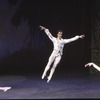 New York City Ballet production of "Rossini Quartets" with Daniel Duell, choreography by Peter Martins (New York)