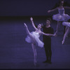New York City Ballet production of "Symphony in C" with Darci Kistler and Otto Neubert, choreography by George Balanchine (New York)