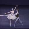 New York City Ballet production of "Tchaikovsky Pas de Deux" with Suzanne Farrell and Adam Luders, choreography by George Balanchine (New York)