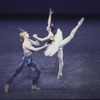 New York City Ballet production of "Le Corsaire" with Nina Ananiashvili and Andris Liepa (guest artists from the Bolshoi Ballet) (New York)