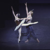 New York City Ballet production of "Le Corsaire" with Nina Ananiashvili and Andris Liepa (guest artists from the Bolshoi Ballet) (New York)