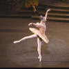 New York City Ballet "Sleeping Beauty"; Court scene in Act I with Darci Kistler, choreography by Peter Martins (New York)