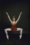 New York City Ballet - studio portrait of Colleen Neary in costume for "Jewels" (Rubies), choreography by George Balanchine (New York)