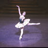 New York City Ballet production of "Sleeping Beauty"; Divertissement Act Two with Roma Sosenko, choreography by Peter Martins (New York)