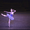New York City Ballet production of "Sleeping Beauty"; Divertissement Act Two with Kelly Cass in the Bluebird Variation, choreography by Peter Martins (New York)