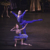 New York City Ballet production of "Sleeping Beauty"; Divertissement Act Two with Kelly Cass and Michael Byars in the Bluebird Variation, choreography by Peter Martins (New York)