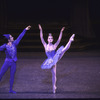 New York City Ballet production of "Sleeping Beauty"; Divertissement Act Two with Kelly Cass and Michael Byars in the Bluebird Variation, choreography by Peter Martins (New York)