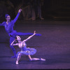 New York City Ballet production of "Sleeping Beauty"; Divertissement Act Two with Margaret Tracey and Damian Woetzel in the Bluebird Variation, choreography by Peter Martins (New York)