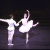 New York City Ballet production of "Sleeping Beauty"; Act Two with Judith Fugate and Lindsay Fischer, choreography by Peter Martins (New York)