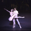 New York City Ballet production of "Sleeping Beauty"; Act Two with Judith Fugate and Lindsay Fischer, choreography by Peter Martins (New York)