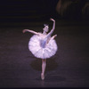 New York City Ballet production of "Sleeping Beauty"; Act Two with Margaret Tracey, choreography by Peter Martins (New York)