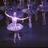 New York City Ballet production of "Sleeping Beauty"; Act Two with Darci Kistler, choreography by Peter Martins (New York)