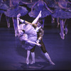 New York City Ballet production of "Sleeping Beauty"; Act Two with Darci Kistler and Ben Huys, choreography by Peter Martins (New York)