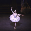 New York City Ballet production of "Sleeping Beauty"; Act Two with Darci Kistler, choreography by Peter Martins (New York)