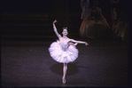 New York City Ballet production of "Sleeping Beauty"; Act Two with Darci Kistler, choreography by Peter Martins (New York)