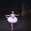 New York City Ballet production of "Sleeping Beauty"; Act Two with Darci Kistler, choreography by Peter Martins (New York)