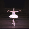 New York City Ballet production of "Sleeping Beauty"; Act Two with Darci Kistler, choreography by Peter Martins (New York)