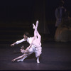 New York City Ballet production of "Sleeping Beauty"; Act Two with Darci Kistler and Ben Huys, choreography by Peter Martins (New York)