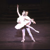 New York City Ballet production of "Sleeping Beauty"; Act Two with Darci Kistler and Ben Huys, choreography by Peter Martins (New York)