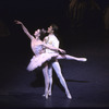 New York City Ballet production of "Sleeping Beauty"; Act Two with Darci Kistler and Ben Huys, choreography by Peter Martins (New York)