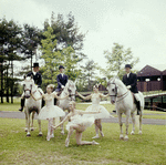 New York City Ballet - Susan Hendl, Violette Verdy and Lynn Stetson pose with horses and riders (garbed for dressage) for publicity opening of Saratoga Performing Arts Center (Saratoga)