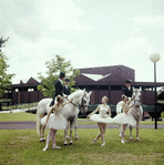 New York City Ballet - Susan Hendl, Violette Verdy and Lynn Stetson pose with horses and riders (garbed for dressage) for publicity opening of Saratoga Performing Arts Center (Saratoga)