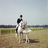 New York City Ballet - dancer Suzanne Farrell poses on race track with horse and rider (dressage), publicity photo for opening of new theatre at Saratoga Performing Arts Center (Saratoga)