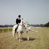 New York City Ballet - dancer Suzanne Farrell poses on race track with horse and rider (dressage), publicity photo for opening of new theatre at Saratoga Performing Arts Center (Saratoga)