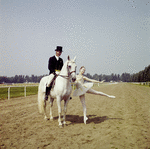 New York City Ballet - dancer Suzanne Farrell poses on race track with horse and rider (dressage), publicity photo for opening of new theatre at Saratoga Performing Arts Center (Saratoga)