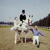 New York City Ballet - dancer Suzanne Farrell poses with George Balanchine on race track with horse and rider (dressage), publicity photo for opening of new theatre at Saratoga Performing Arts Center (Saratoga)