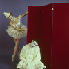 New York City Ballet - Studio photo of Suki Schorer and Deni Lamont in "Harlequinade", choreography by George Balanchine (New York)