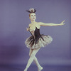 New York City Ballet -Studio photo of Carol Sumner in "Harlequinade", choreography by George Balanchine (New York)