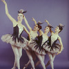 New York City Ballet -Studio photo of Carol Sumner and Rosemary Dunleavy, Margaret Wood and Karen Morrell in "Harlequinade", choreography by George Balanchine (New York)
