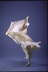 Martha Graham Dance Company, Studio portrait of Takako Asakawa in "Tanagra", choreography by Martha Graham