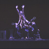 Martha Graham Dance Company, "Night Journey" with Mikhail Baryshnikov, choreography by Martha Graham