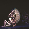 Martha Graham Dance Company, "Eyes of the Goddess", Terese Capucilli with fan, choreography by Martha Graham