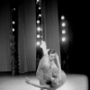 Suzanne Farrell and Jacques d'Amboise, in a New York City Ballet production of "The Nutcracker."