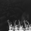Snow scene, in a New York City Ballet production of "The Nutcracker."