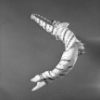 John Prinz as a Candy Cane (Hoops), in a New York City Ballet production of "The Nutcracker."