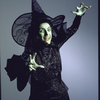 Actress Elizabeth Franz in a publicity shot from the Papermill Playhouse production of the musical "The Wizard of Oz." (New York)