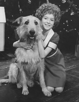 Actress Andrea McArdle as Little Orphan Annie with Sandy the dog in a scene from the Broadway production of the musical "Annie.".