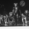 Performers in a scene from the Broadway production of the musical "Cats"