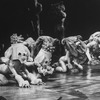 Performers in a scene from the Broadway production of the musical "Cats"