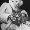 Actress Diana Rigg as French author Colette holding a cat in a scene from the Broadway-bound Seattle, WA production of the musical "Colette"
