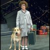 Actress Andrea McArdle as Annie w. Sandy in a scene from the Broadway production of the musical "Annie."
