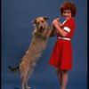 Actress Andrea McArdle as Annie w. Sandy from the Broadway production of the musical "Annie."